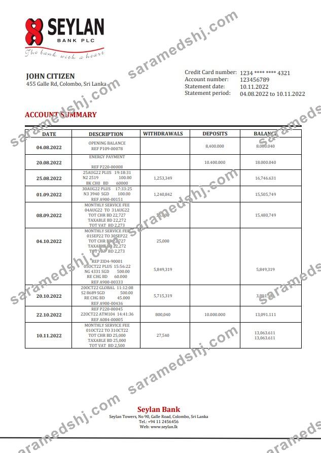 Sri Lanka Seylan bank statement